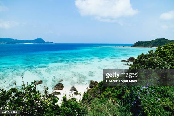beautiful coastline with clear tropical sea, amami oshima island, japan - amami stockfoto's en -beelden