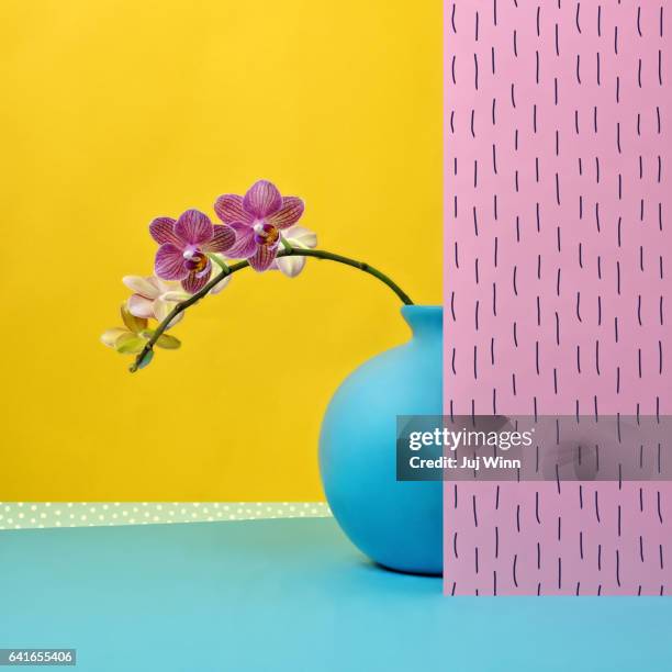 pink orchid in blue vase - bloco de cor imagens e fotografias de stock