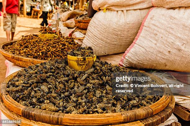 insect for sale in a local market of chipata, zambia - chipata photos et images de collection