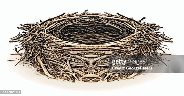 engraving illustration of an eagle nest - animal nest stock illustrations