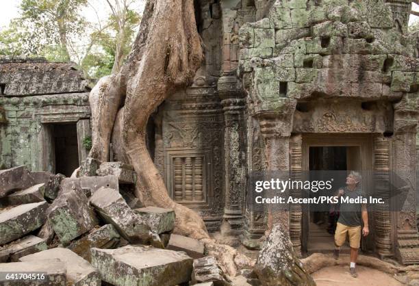 woman walks through ancient ruins, in awe - siemreap tempelkomplex stock-fotos und bilder