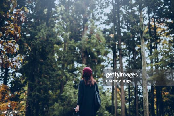 woman looking up and enjoying nature in green forest - autumnal forest trees japan fotografías e imágenes de stock