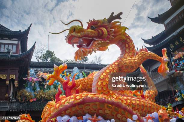 chinese lantern festival,yu gardens,shanghai - china dragon stock pictures, royalty-free photos & images