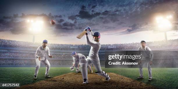 cricket: el momento de juego - guardameta críquet fotografías e imágenes de stock