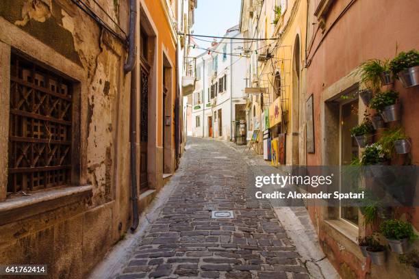 narrow cobbled street in piran, slovenia - piran slovenia stock pictures, royalty-free photos & images
