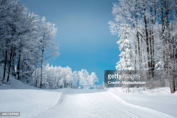 vinter scen med längdskidåkning spår i juliska alperna - cross country skiing bildbanksfoton och bilder