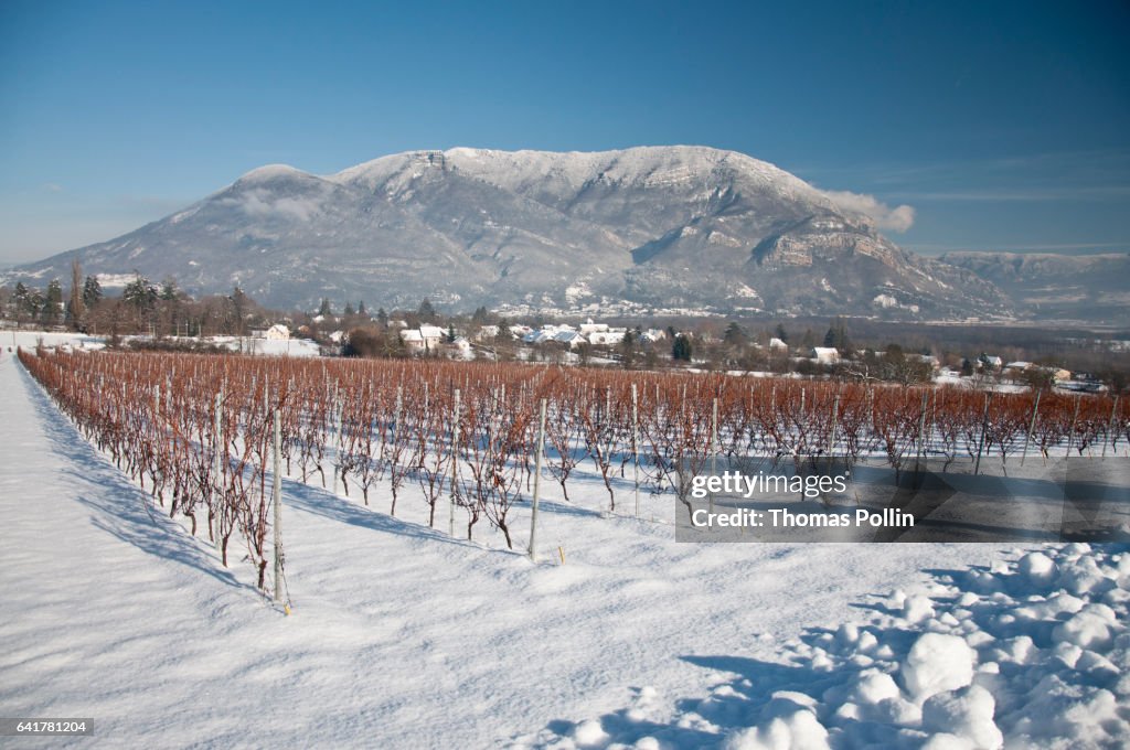 Snow over the Bugey