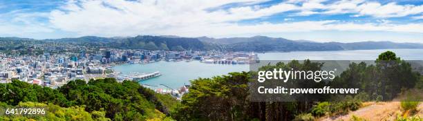 panoramic cityscape of wellington, new zealand - wellington harbour stock pictures, royalty-free photos & images