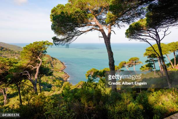 view from the hill of tangier - tangier stock pictures, royalty-free photos & images