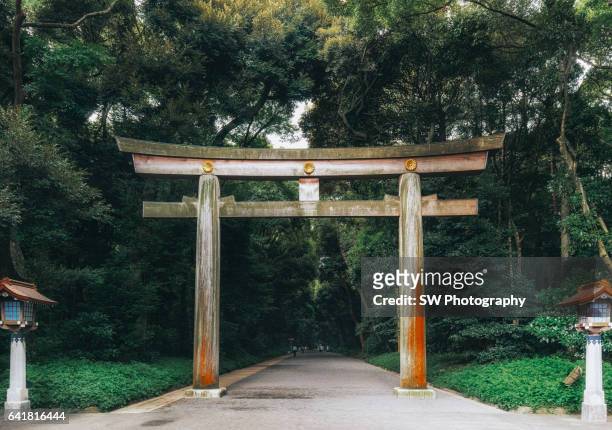 meiji shrine in tokyo - 明治神宮 ストックフォトと画像
