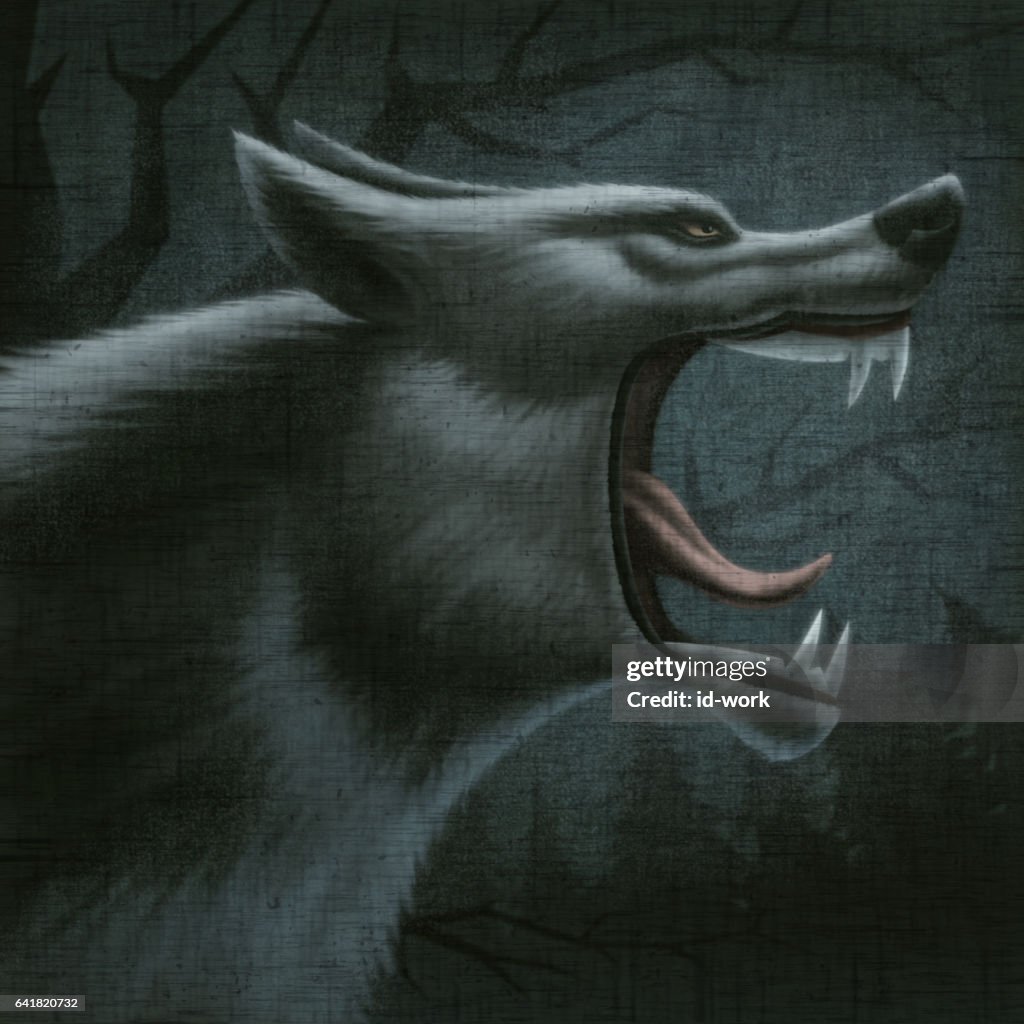 Angry wolf howling