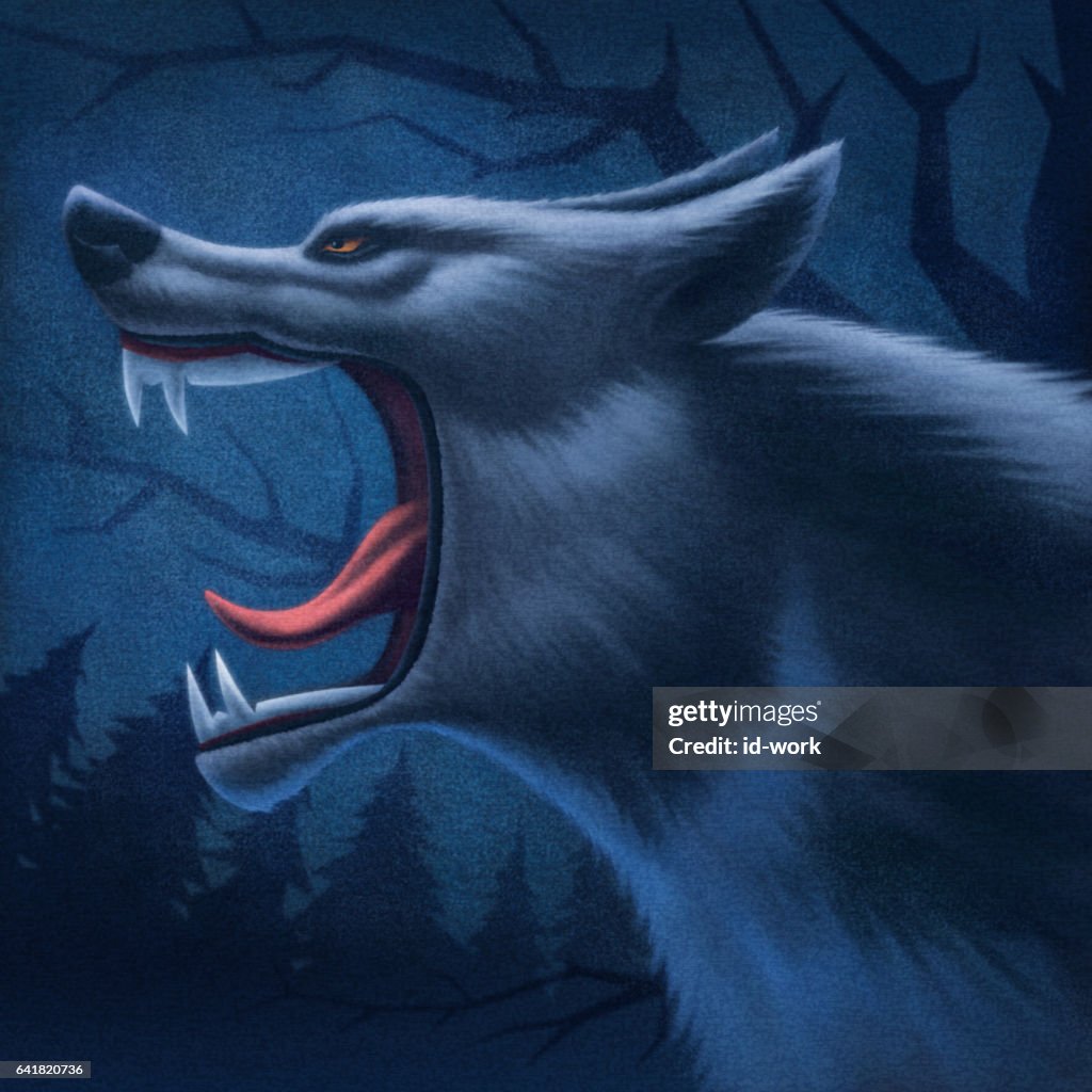 Angry wolf howling