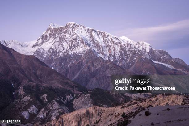 annapurna iii at sunrise, annapurna conservation area, nepal - annapurna conservation area stockfoto's en -beelden