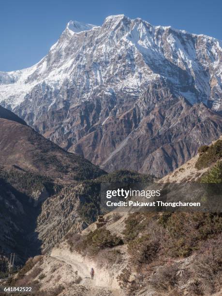 a hiker and annapurna iii, annapurna conservation area, nepal - annapurna conservation area stockfoto's en -beelden