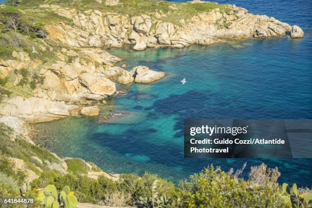 the coastline - giglio 個照片及圖片檔