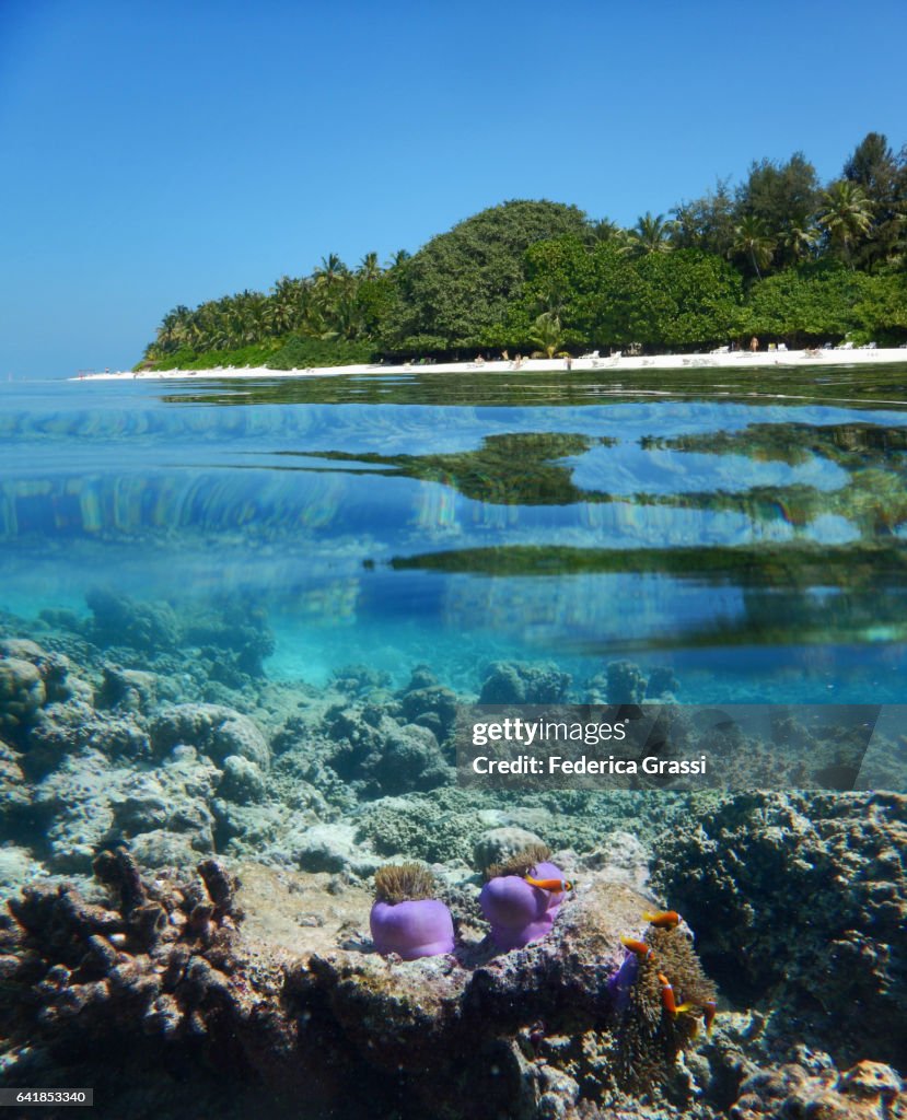 House Reef Of Biyadhoo Island And White Sand Beach
