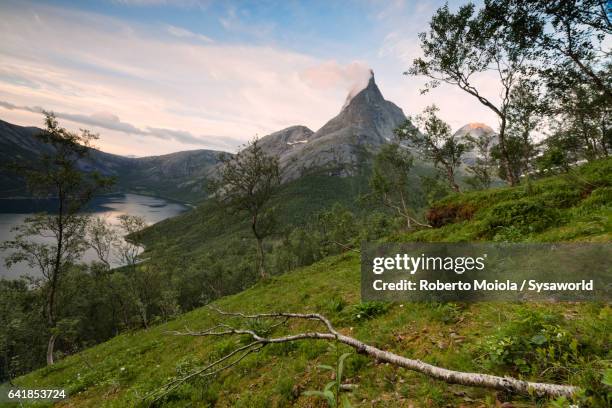 midnight sun lights up the stetinden norway - stetind stock pictures, royalty-free photos & images