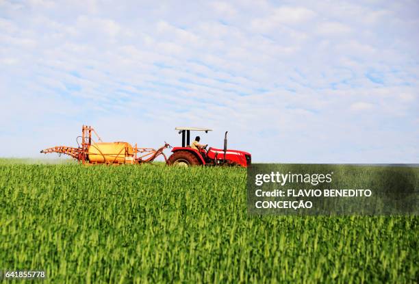 agricultural defensive spraying - agricultor stock pictures, royalty-free photos & images