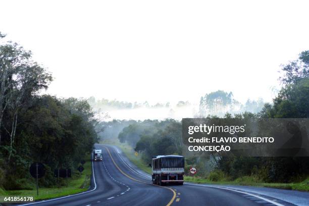 highway at dawn with mist in the state of paraná in brazil - nevoeiro stock pictures, royalty-free photos & images