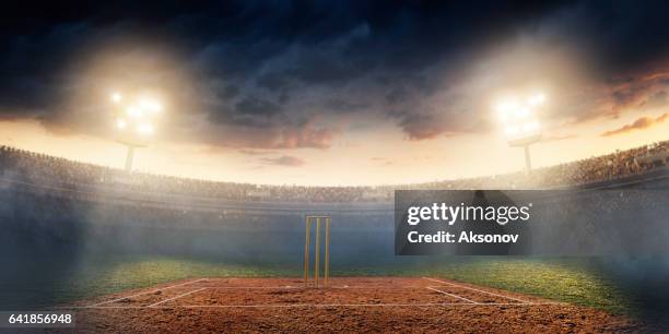 cricket : stade de cricket - piquet de cricket photos et images de collection