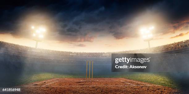 cricket: cricket stadium - cricket stumps stock pictures, royalty-free photos & images