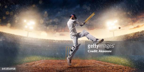 cricket: el momento de juego - críquet fotografías e imágenes de stock