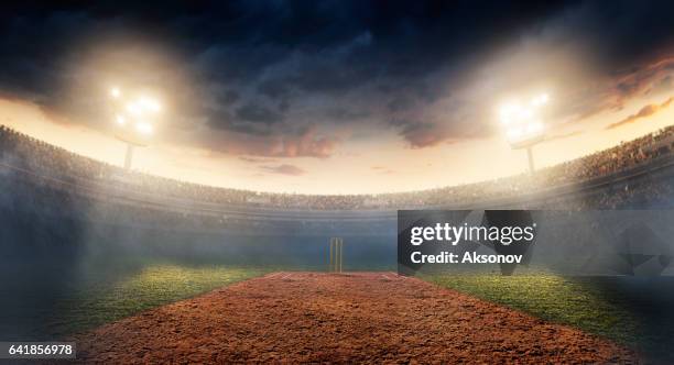 cricket: estadio cricket - campo de críquet fotografías e imágenes de stock