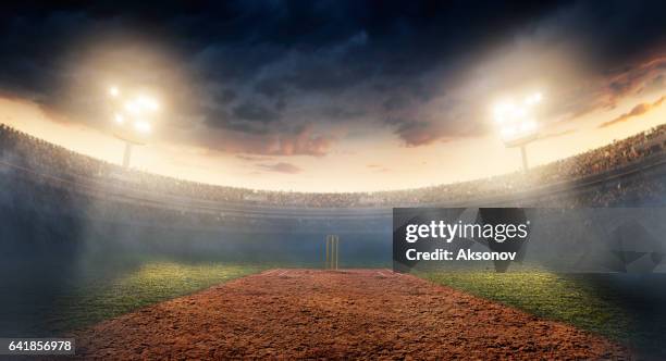 cricket: estadio cricket - cricket sport fotografías e imágenes de stock