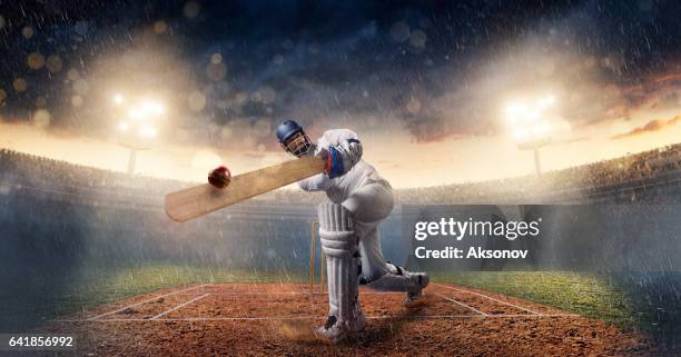 cricket: the game moment - batsman stock pictures, royalty-free photos & images