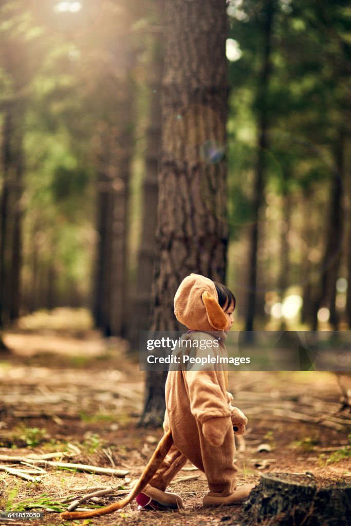If You Go Out In The Woods Today Open Season When You Go Into The Woods Today High-Res Stock Photo - Getty Images