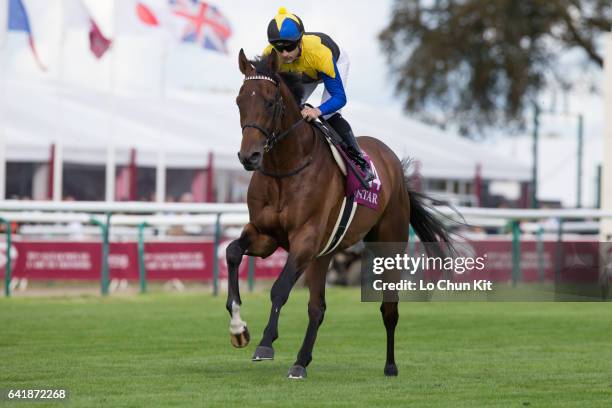 Jockey Christophe Lemaire riding Makahiki during the Race 4 Prix de l'Arc de Triomphe at Chantilly Racecourse on October 2, 2016 in Chantilly, France.