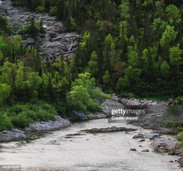 Newfoundland Color Rivers 17 North River Newfoundland And Labrador Stock Photos, High-Res ...