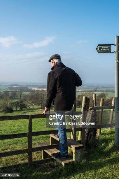 over the stile - stye stock pictures, royalty-free photos & images