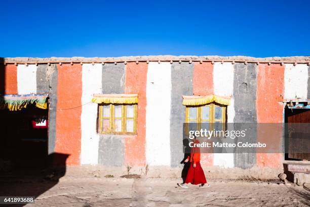 young buddhist monk in a monastery, nepal - tibetan culture stock pictures, royalty-free photos & images