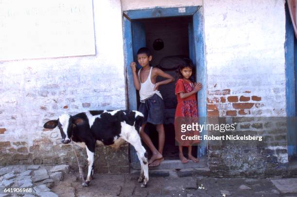 Two Dalit children stand in the doorway to their home watching a calf January 1, 1996 in Patna, Bihar. Dalit refers to the "untouchables" of the...