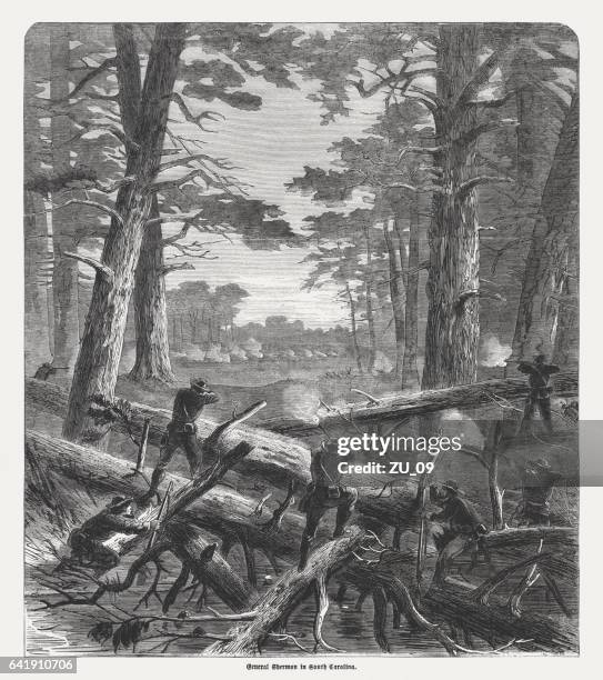 general sherman in south carolina, american civil war, published 1865 - general sherman stock pictures, royalty-free photos & images