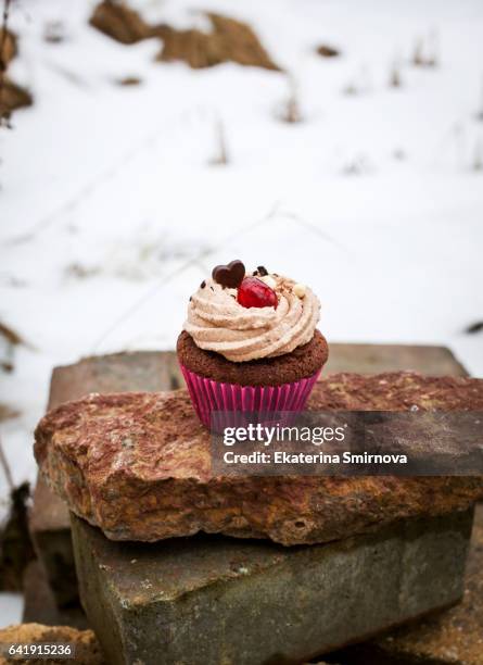 delicious chocolate cupcake - cupcake box stock pictures, royalty-free photos & images