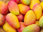Mangoes composition   background
