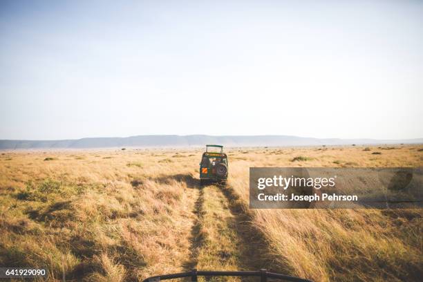 jeep driving through grass - kenya safari stock pictures, royalty-free photos & images
