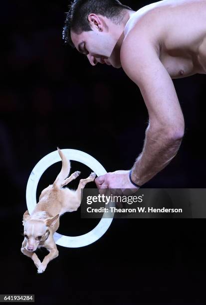 Christian Stoinev and Scooby prerforms during halftime of an NBA basketball game between the Chicago Bulls and Golden State Warriors at ORACLE Arena...