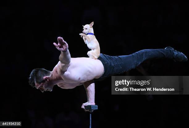 Christian Stoinev and Scooby prerforms during halftime of an NBA basketball game between the Chicago Bulls and Golden State Warriors at ORACLE Arena...