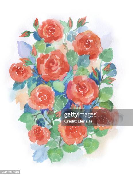 watercolor rose - rose petals stock illustrations