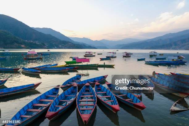 boats and fewa lake - pokhara stock pictures, royalty-free photos & images