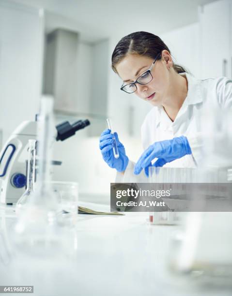 observer avec soin afin de maintenir l’exactitude des - laboratory photos et images de collection