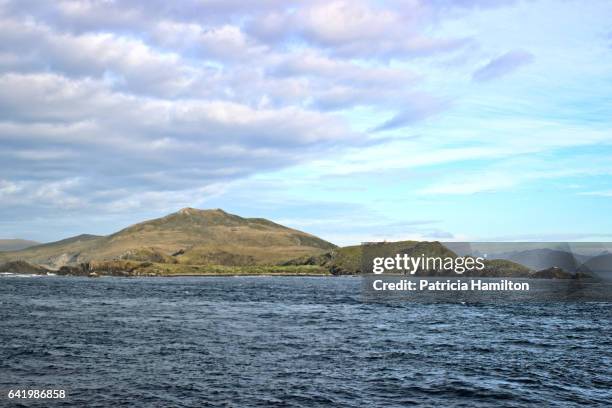 region of cape horn, isla hornos - drake passage stock-fotos und bilder