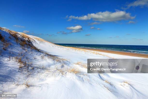winter on cape cod - snow beach stock pictures, royalty-free photos & images