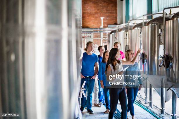workers discussing over vats in brewery - microbrewery stock pictures, royalty-free photos & images