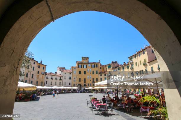 piazza anfiteatro, lucca, tuscany - lucca italy stock pictures, royalty-free photos & images