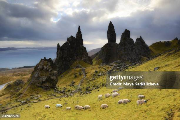 sunrays over the old man of storr - old man of storr stock pictures, royalty-free photos & images