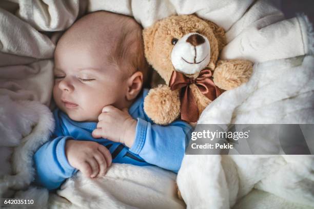 nyfödd pojke sover tillsammans med nalle - baby cot bildbanksfoton och bilder
